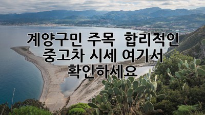 계양구민 주목! 🚗💨 합리적인 중고차 시세, 여기서 확인하세요!