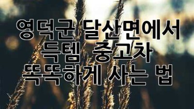 영덕군 달산면에서 득템?! ✨ 중고차 똑똑하게 사는 법! 🚗
